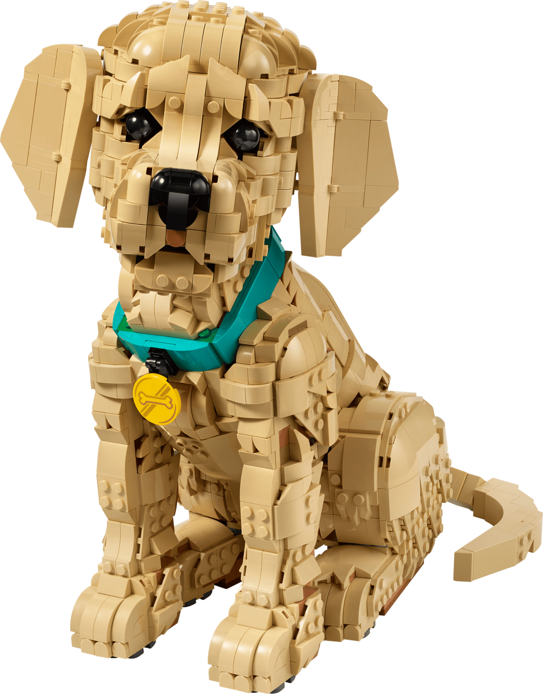 LEGO - Le chiot Golden Retriever