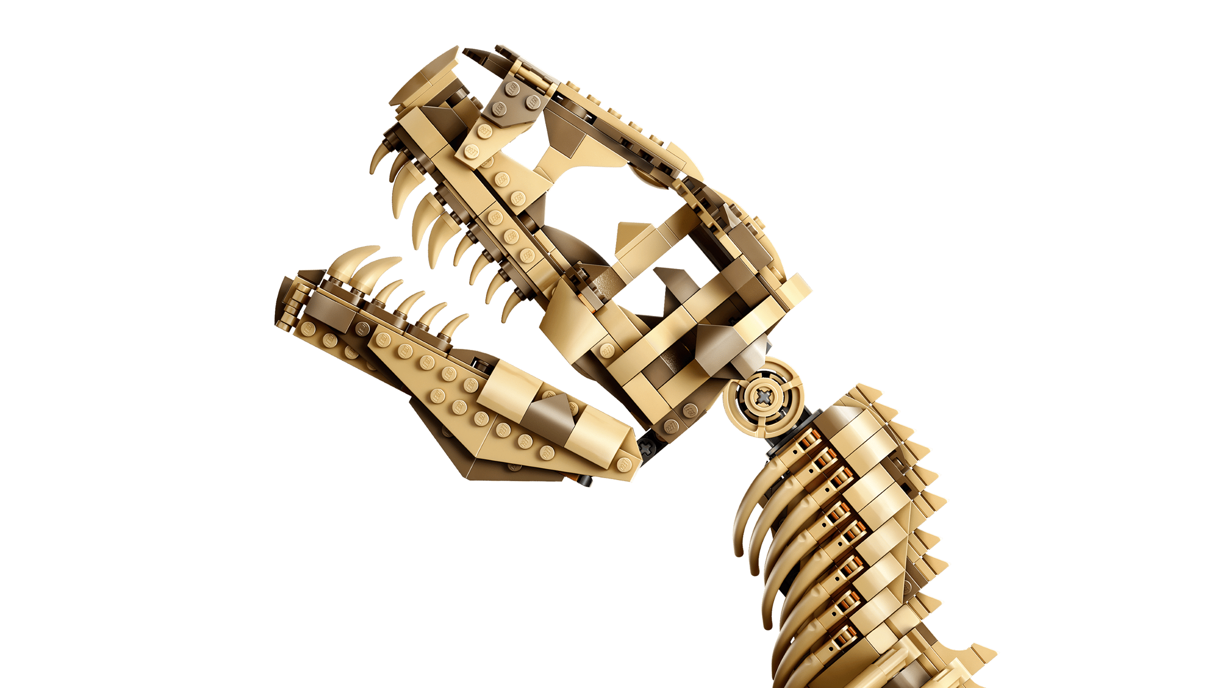 LEGO - Les fossiles de dinosaures : le Tyrannosaurus rex
