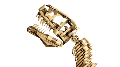 LEGO - Les fossiles de dinosaures : le Tyrannosaurus rex