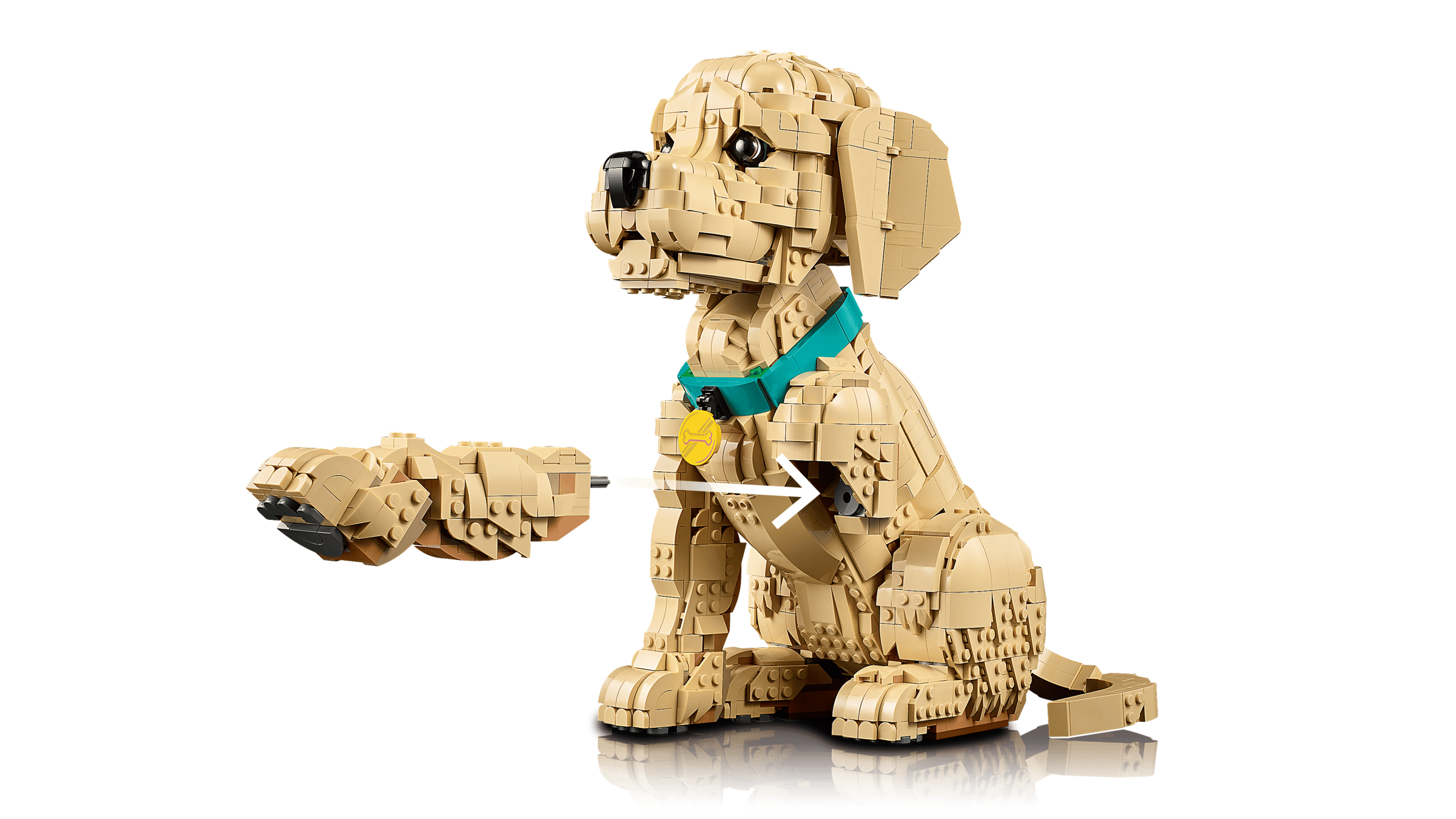 LEGO - Le chiot Golden Retriever